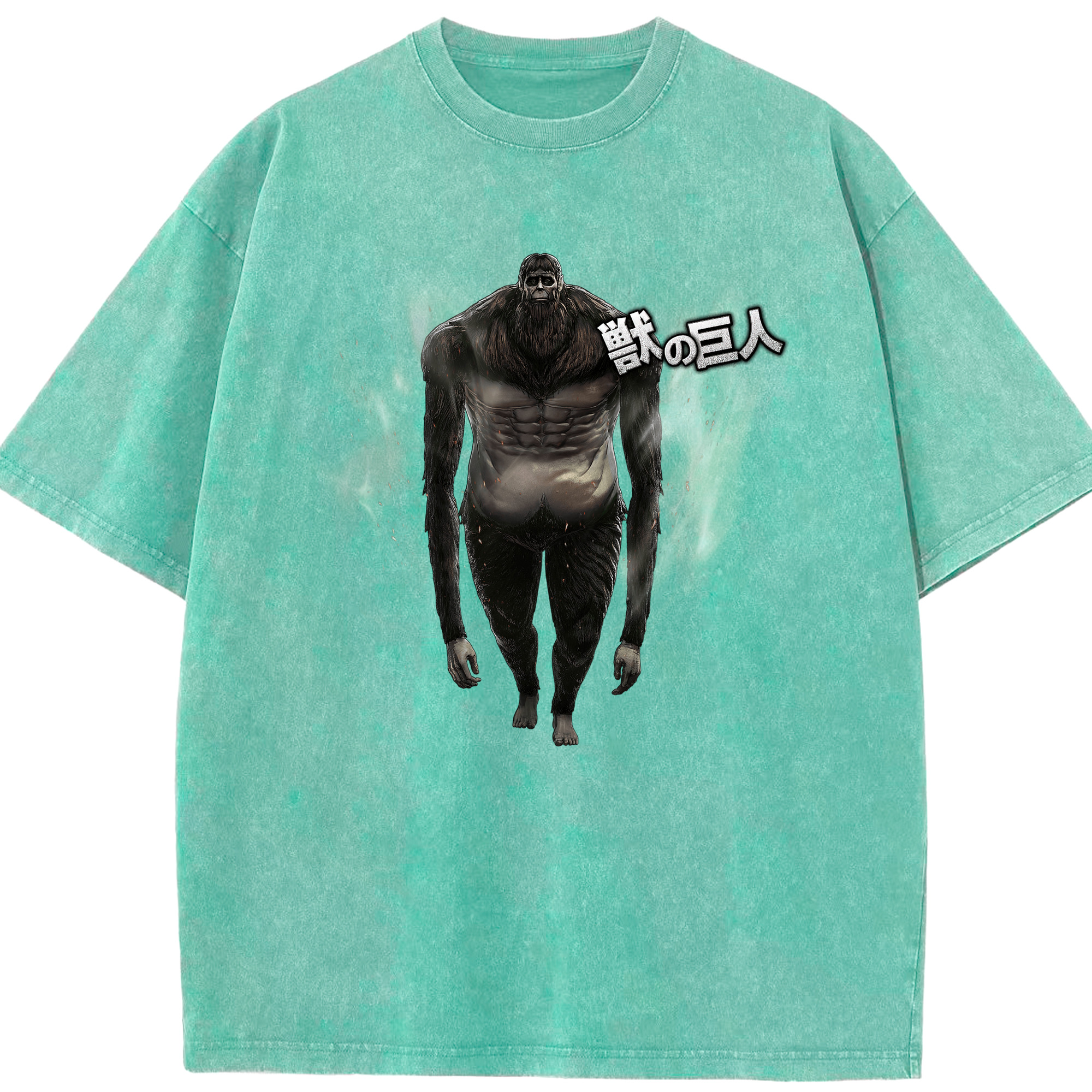 （画像用） 進撃の巨人 Attack on Titan 綿100% ヴィンテージ風 半袖Tシャツ（フロントプリント）